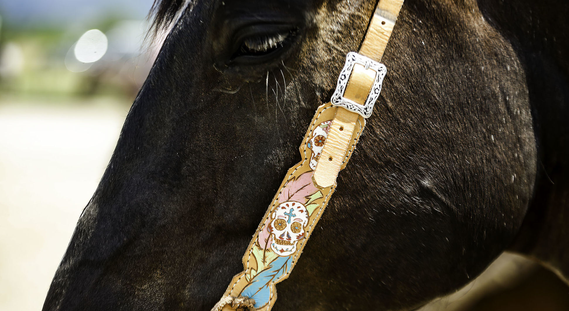 Barrel Racing
